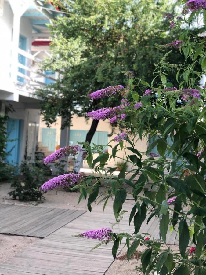 Casa Stavros Hotell Două Mai Exteriör bild