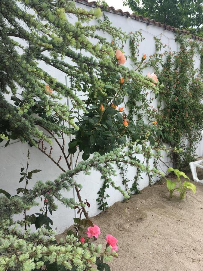 Casa Stavros Hotell Două Mai Exteriör bild